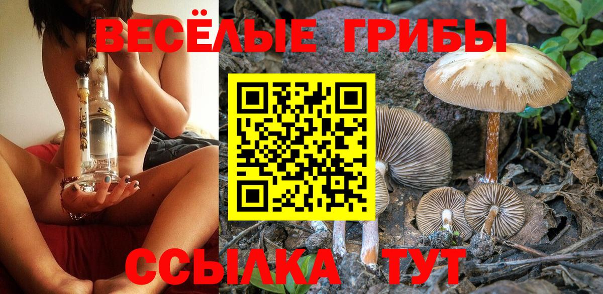 Камышлов  Псилоцибиновые грибы GOLDEN TEACHER  Вход с VPN 